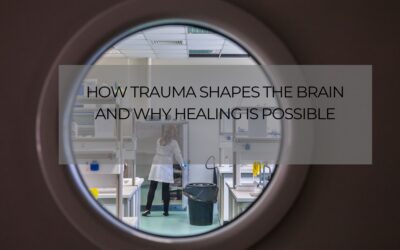 How Trauma Shapes the Brain and Why Healing Is Possible